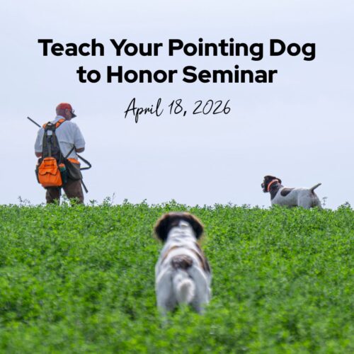 Honoring Seminar – Auditing Spot