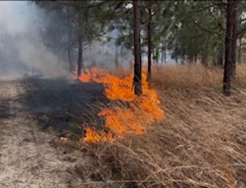 March 5, 2026 SPBC Annual Burn