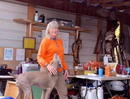 Seminar 5/9/26- Living with your bird dog
